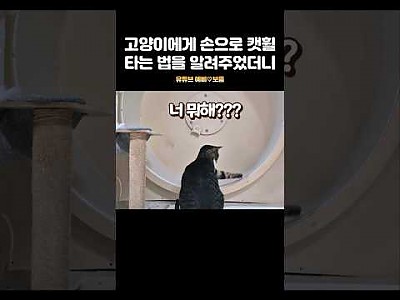 게시물 타입 아이콘