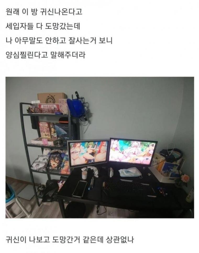 본문 이미지