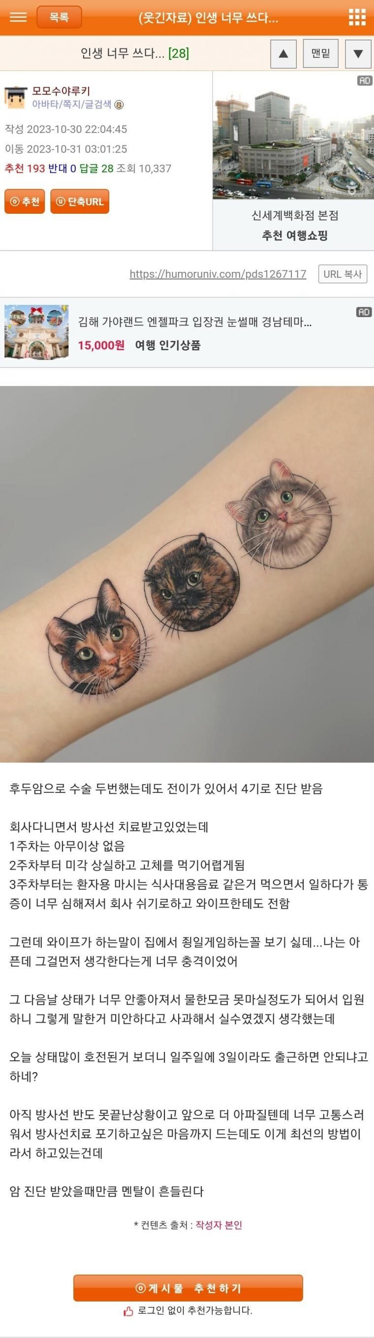 본문 이미지