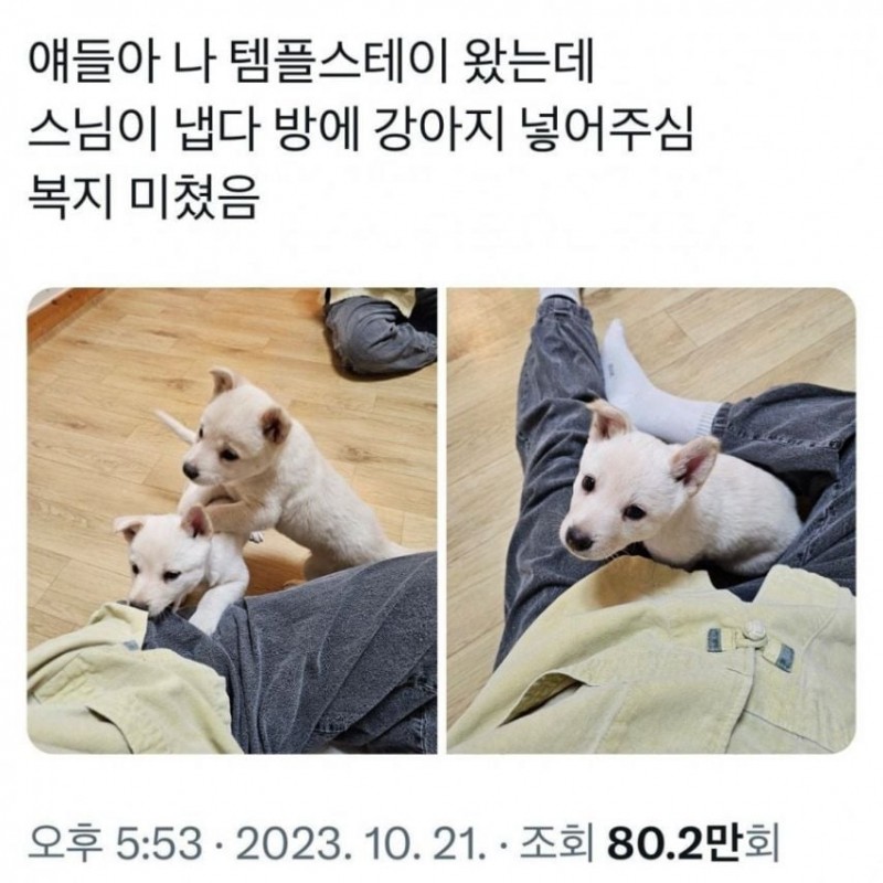 본문 이미지