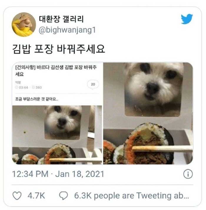 본문 이미지