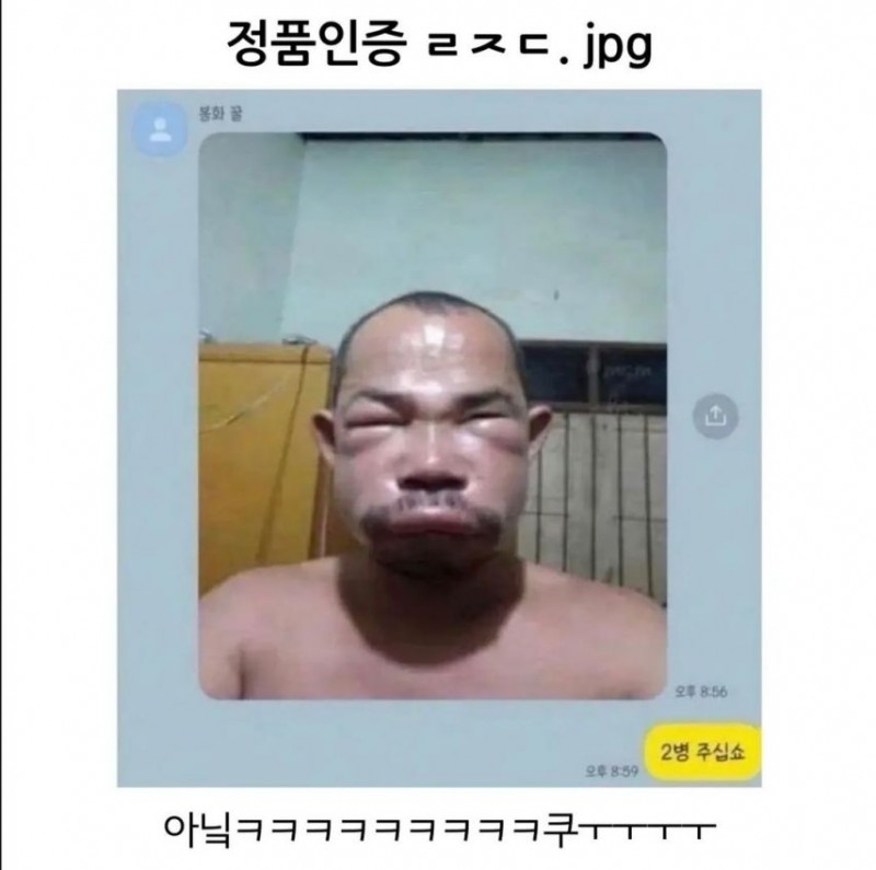 본문 이미지