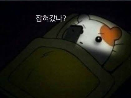 본문 이미지