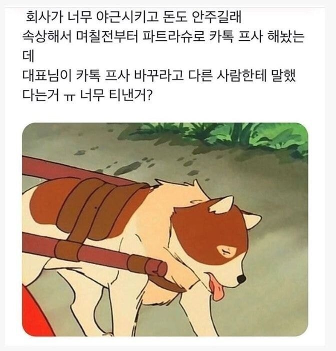 본문 이미지